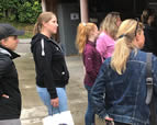 Forschungsgruppe Equiden