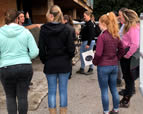 Forschungsgruppe Equiden