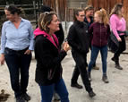 Forschungsgruppe Equiden