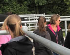 Forschungsgruppe Equiden