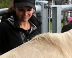 Forschungsgruppe Equiden