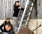 Forschungsgruppe Equiden